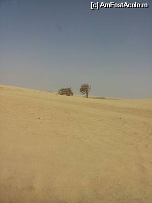 [P11]  -- <small>// FĂRĂ DESCRIERE</small> » foto by CarlaRoxana
 - 
<span class="allrVoted glyphicon glyphicon-heart hidden" id="av565294"></span>
<a class="m-l-10 hidden" id="sv565294" onclick="voting_Foto_DelVot(,565294,659)" role="button">șterge vot <span class="glyphicon glyphicon-remove"></span></a>
<a id="v9565294" class=" c-red"  onclick="voting_Foto_SetVot(565294)" role="button"><span class="glyphicon glyphicon-heart-empty"></span> <b>LIKE</b> = Votează poza</a> <img class="hidden"  id="f565294W9" src="/imagini/loader.gif" border="0" /><span class="AjErrMes hidden" id="e565294ErM"></span>