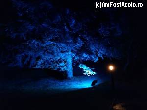 [P09] Noaptea, grădina complexului este luminată misterios » foto by cher-cher
 - 
<span class="allrVoted glyphicon glyphicon-heart hidden" id="av528764"></span>
<a class="m-l-10 hidden" id="sv528764" onclick="voting_Foto_DelVot(,528764,679)" role="button">șterge vot <span class="glyphicon glyphicon-remove"></span></a>
<a id="v9528764" class=" c-red"  onclick="voting_Foto_SetVot(528764)" role="button"><span class="glyphicon glyphicon-heart-empty"></span> <b>LIKE</b> = Votează poza</a> <img class="hidden"  id="f528764W9" src="/imagini/loader.gif" border="0" /><span class="AjErrMes hidden" id="e528764ErM"></span>