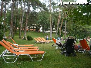 [P28] Parcul in care ne relaxam in dupa-amiezele toride, muuuulta umbra si racoare.  » foto by DanaRO
 - 
<span class="allrVoted glyphicon glyphicon-heart hidden" id="av354333"></span>
<a class="m-l-10 hidden" id="sv354333" onclick="voting_Foto_DelVot(,354333,679)" role="button">șterge vot <span class="glyphicon glyphicon-remove"></span></a>
<a id="v9354333" class=" c-red"  onclick="voting_Foto_SetVot(354333)" role="button"><span class="glyphicon glyphicon-heart-empty"></span> <b>LIKE</b> = Votează poza</a> <img class="hidden"  id="f354333W9" src="/imagini/loader.gif" border="0" /><span class="AjErrMes hidden" id="e354333ErM"></span>