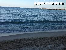 [P21] Marea la ceas de seară...  » foto by Leono
 - 
<span class="allrVoted glyphicon glyphicon-heart hidden" id="av448757"></span>
<a class="m-l-10 hidden" id="sv448757" onclick="voting_Foto_DelVot(,448757,679)" role="button">șterge vot <span class="glyphicon glyphicon-remove"></span></a>
<a id="v9448757" class=" c-red"  onclick="voting_Foto_SetVot(448757)" role="button"><span class="glyphicon glyphicon-heart-empty"></span> <b>LIKE</b> = Votează poza</a> <img class="hidden"  id="f448757W9" src="/imagini/loader.gif" border="0" /><span class="AjErrMes hidden" id="e448757ErM"></span>