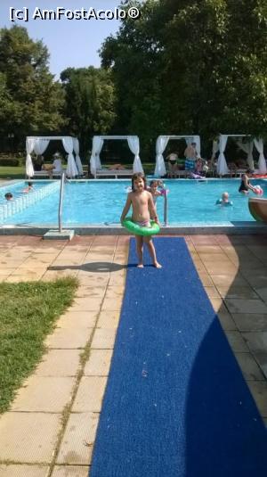 [P02] Piscina pentru copii » foto by Elsa76
 - 
<span class="allrVoted glyphicon glyphicon-heart hidden" id="av779399"></span>
<a class="m-l-10 hidden" id="sv779399" onclick="voting_Foto_DelVot(,779399,679)" role="button">șterge vot <span class="glyphicon glyphicon-remove"></span></a>
<a id="v9779399" class=" c-red"  onclick="voting_Foto_SetVot(779399)" role="button"><span class="glyphicon glyphicon-heart-empty"></span> <b>LIKE</b> = Votează poza</a> <img class="hidden"  id="f779399W9" src="/imagini/loader.gif" border="0" /><span class="AjErrMes hidden" id="e779399ErM"></span>
