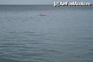 [P17] În prima seară a sejurului am văzut un delfin în dreptul hotelului Rubin » foto by Klaudyia
 - 
<span class="allrVoted glyphicon glyphicon-heart hidden" id="av476090"></span>
<a class="m-l-10 hidden" id="sv476090" onclick="voting_Foto_DelVot(,476090,679)" role="button">șterge vot <span class="glyphicon glyphicon-remove"></span></a>
<a id="v9476090" class=" c-red"  onclick="voting_Foto_SetVot(476090)" role="button"><span class="glyphicon glyphicon-heart-empty"></span> <b>LIKE</b> = Votează poza</a> <img class="hidden"  id="f476090W9" src="/imagini/loader.gif" border="0" /><span class="AjErrMes hidden" id="e476090ErM"></span>