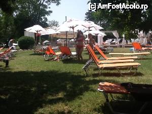 [P43] La plaja in parc intre cele doua piscine si bar » foto by irina.ciobanu
 - 
<span class="allrVoted glyphicon glyphicon-heart hidden" id="av433782"></span>
<a class="m-l-10 hidden" id="sv433782" onclick="voting_Foto_DelVot(,433782,679)" role="button">șterge vot <span class="glyphicon glyphicon-remove"></span></a>
<a id="v9433782" class=" c-red"  onclick="voting_Foto_SetVot(433782)" role="button"><span class="glyphicon glyphicon-heart-empty"></span> <b>LIKE</b> = Votează poza</a> <img class="hidden"  id="f433782W9" src="/imagini/loader.gif" border="0" /><span class="AjErrMes hidden" id="e433782ErM"></span>