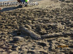 [P06] avea si 4 tevi ruginite pa langa el, si o bucata de beton » foto by andrei
 - 
<span class="allrVoted glyphicon glyphicon-heart hidden" id="av999670"></span>
<a class="m-l-10 hidden" id="sv999670" onclick="voting_Foto_DelVot(,999670,68)" role="button">șterge vot <span class="glyphicon glyphicon-remove"></span></a>
<a id="v9999670" class=" c-red"  onclick="voting_Foto_SetVot(999670)" role="button"><span class="glyphicon glyphicon-heart-empty"></span> <b>LIKE</b> = Votează poza</a> <img class="hidden"  id="f999670W9" src="/imagini/loader.gif" border="0" /><span class="AjErrMes hidden" id="e999670ErM"></span>