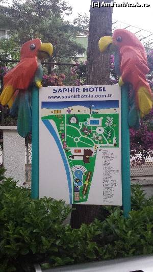 [P01]  -- <small>// FĂRĂ DESCRIERE</small> » foto by o turista
 - 
<span class="allrVoted glyphicon glyphicon-heart hidden" id="av537297"></span>
<a class="m-l-10 hidden" id="sv537297" onclick="voting_Foto_DelVot(,537297,68)" role="button">șterge vot <span class="glyphicon glyphicon-remove"></span></a>
<a id="v9537297" class=" c-red"  onclick="voting_Foto_SetVot(537297)" role="button"><span class="glyphicon glyphicon-heart-empty"></span> <b>LIKE</b> = Votează poza</a> <img class="hidden"  id="f537297W9" src="/imagini/loader.gif" border="0" /><span class="AjErrMes hidden" id="e537297ErM"></span>
