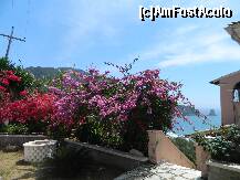 [P15] Flori de Corfu » foto by rromino
 - 
<span class="allrVoted glyphicon glyphicon-heart hidden" id="av210016"></span>
<a class="m-l-10 hidden" id="sv210016" onclick="voting_Foto_DelVot(,210016,680)" role="button">șterge vot <span class="glyphicon glyphicon-remove"></span></a>
<a id="v9210016" class=" c-red"  onclick="voting_Foto_SetVot(210016)" role="button"><span class="glyphicon glyphicon-heart-empty"></span> <b>LIKE</b> = Votează poza</a> <img class="hidden"  id="f210016W9" src="/imagini/loader.gif" border="0" /><span class="AjErrMes hidden" id="e210016ErM"></span>