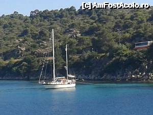 [P18] in croaziera spre muntele athos » foto by mira1
 - 
<span class="allrVoted glyphicon glyphicon-heart hidden" id="av483800"></span>
<a class="m-l-10 hidden" id="sv483800" onclick="voting_Foto_DelVot(,483800,684)" role="button">șterge vot <span class="glyphicon glyphicon-remove"></span></a>
<a id="v9483800" class=" c-red"  onclick="voting_Foto_SetVot(483800)" role="button"><span class="glyphicon glyphicon-heart-empty"></span> <b>LIKE</b> = Votează poza</a> <img class="hidden"  id="f483800W9" src="/imagini/loader.gif" border="0" /><span class="AjErrMes hidden" id="e483800ErM"></span>