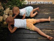 [P03] Ce zici surioara prinde pestisori sa ii macam ca sint proaspeti si frumosi si nu o sa ne mai doara burtica » foto by costinesti_2003
 - 
<span class="allrVoted glyphicon glyphicon-heart hidden" id="av127302"></span>
<a class="m-l-10 hidden" id="sv127302" onclick="voting_Foto_DelVot(,127302,735)" role="button">șterge vot <span class="glyphicon glyphicon-remove"></span></a>
<a id="v9127302" class=" c-red"  onclick="voting_Foto_SetVot(127302)" role="button"><span class="glyphicon glyphicon-heart-empty"></span> <b>LIKE</b> = Votează poza</a> <img class="hidden"  id="f127302W9" src="/imagini/loader.gif" border="0" /><span class="AjErrMes hidden" id="e127302ErM"></span>
