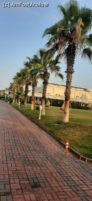[P21] Alee în resort » foto by moraru marian
 - 
<span class="allrVoted glyphicon glyphicon-heart hidden" id="av1311001"></span>
<a class="m-l-10 hidden" id="sv1311001" onclick="voting_Foto_DelVot(,1311001,74)" role="button">șterge vot <span class="glyphicon glyphicon-remove"></span></a>
<a id="v91311001" class=" c-red"  onclick="voting_Foto_SetVot(1311001)" role="button"><span class="glyphicon glyphicon-heart-empty"></span> <b>LIKE</b> = Votează poza</a> <img class="hidden"  id="f1311001W9" src="/imagini/loader.gif" border="0" /><span class="AjErrMes hidden" id="e1311001ErM"></span>