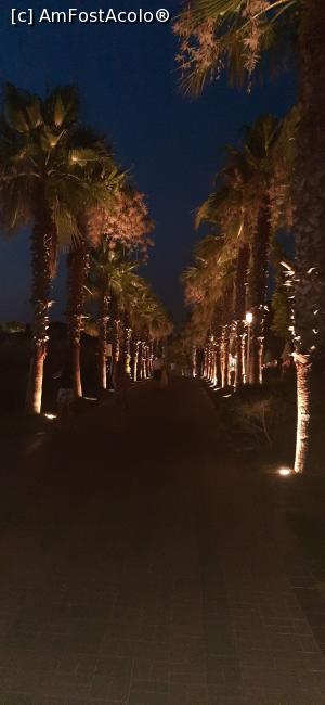 [P23] Noaptea în resort » foto by moraru marian
 - 
<span class="allrVoted glyphicon glyphicon-heart hidden" id="av1311003"></span>
<a class="m-l-10 hidden" id="sv1311003" onclick="voting_Foto_DelVot(,1311003,74)" role="button">șterge vot <span class="glyphicon glyphicon-remove"></span></a>
<a id="v91311003" class=" c-red"  onclick="voting_Foto_SetVot(1311003)" role="button"><span class="glyphicon glyphicon-heart-empty"></span> <b>LIKE</b> = Votează poza</a> <img class="hidden"  id="f1311003W9" src="/imagini/loader.gif" border="0" /><span class="AjErrMes hidden" id="e1311003ErM"></span>