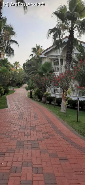 [P42] Alee în resort » foto by moraru marian
 - 
<span class="allrVoted glyphicon glyphicon-heart hidden" id="av1311022"></span>
<a class="m-l-10 hidden" id="sv1311022" onclick="voting_Foto_DelVot(,1311022,74)" role="button">șterge vot <span class="glyphicon glyphicon-remove"></span></a>
<a id="v91311022" class=" c-red"  onclick="voting_Foto_SetVot(1311022)" role="button"><span class="glyphicon glyphicon-heart-empty"></span> <b>LIKE</b> = Votează poza</a> <img class="hidden"  id="f1311022W9" src="/imagini/loader.gif" border="0" /><span class="AjErrMes hidden" id="e1311022ErM"></span>