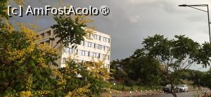 [P17] Hotelul dinspre faleză » foto by Rofri
 - 
<span class="allrVoted glyphicon glyphicon-heart hidden" id="av1535603"></span>
<a class="m-l-10 hidden" id="sv1535603" onclick="voting_Foto_DelVot(,1535603,752)" role="button">șterge vot <span class="glyphicon glyphicon-remove"></span></a>
<a id="v91535603" class=" c-red"  onclick="voting_Foto_SetVot(1535603)" role="button"><span class="glyphicon glyphicon-heart-empty"></span> <b>LIKE</b> = Votează poza</a> <img class="hidden"  id="f1535603W9" src="/imagini/loader.gif" border="0" /><span class="AjErrMes hidden" id="e1535603ErM"></span>
