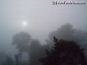[P09] A doua zi dimineata, o ceata densa invaluie statiunea.  » foto by vega06
 - 
<span class="allrVoted glyphicon glyphicon-heart hidden" id="av570434"></span>
<a class="m-l-10 hidden" id="sv570434" onclick="voting_Foto_DelVot(,570434,766)" role="button">șterge vot <span class="glyphicon glyphicon-remove"></span></a>
<a id="v9570434" class=" c-red"  onclick="voting_Foto_SetVot(570434)" role="button"><span class="glyphicon glyphicon-heart-empty"></span> <b>LIKE</b> = Votează poza</a> <img class="hidden"  id="f570434W9" src="/imagini/loader.gif" border="0" /><span class="AjErrMes hidden" id="e570434ErM"></span>