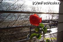 [P02] In asteptarea verii... » foto by Alina53
 - 
<span class="allrVoted glyphicon glyphicon-heart hidden" id="av58843"></span>
<a class="m-l-10 hidden" id="sv58843" onclick="voting_Foto_DelVot(,58843,768)" role="button">șterge vot <span class="glyphicon glyphicon-remove"></span></a>
<a id="v958843" class=" c-red"  onclick="voting_Foto_SetVot(58843)" role="button"><span class="glyphicon glyphicon-heart-empty"></span> <b>LIKE</b> = Votează poza</a> <img class="hidden"  id="f58843W9" src="/imagini/loader.gif" border="0" /><span class="AjErrMes hidden" id="e58843ErM"></span>