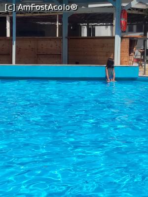 [P03] Piscina pentru adulti » foto by Alberto
 - 
<span class="allrVoted glyphicon glyphicon-heart hidden" id="av1083672"></span>
<a class="m-l-10 hidden" id="sv1083672" onclick="voting_Foto_DelVot(,1083672,769)" role="button">șterge vot <span class="glyphicon glyphicon-remove"></span></a>
<a id="v91083672" class=" c-red"  onclick="voting_Foto_SetVot(1083672)" role="button"><span class="glyphicon glyphicon-heart-empty"></span> <b>LIKE</b> = Votează poza</a> <img class="hidden"  id="f1083672W9" src="/imagini/loader.gif" border="0" /><span class="AjErrMes hidden" id="e1083672ErM"></span>