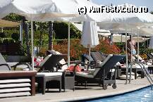 [P03] Piscina » foto by N_Diana
 - 
<span class="allrVoted glyphicon glyphicon-heart hidden" id="av10452"></span>
<a class="m-l-10 hidden" id="sv10452" onclick="voting_Foto_DelVot(,10452,77)" role="button">șterge vot <span class="glyphicon glyphicon-remove"></span></a>
<a id="v910452" class=" c-red"  onclick="voting_Foto_SetVot(10452)" role="button"><span class="glyphicon glyphicon-heart-empty"></span> <b>LIKE</b> = Votează poza</a> <img class="hidden"  id="f10452W9" src="/imagini/loader.gif" border="0" /><span class="AjErrMes hidden" id="e10452ErM"></span>