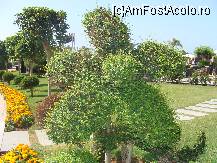 [P08]  -- <small>// FĂRĂ DESCRIERE</small> » foto by richardm27
 - 
<span class="allrVoted glyphicon glyphicon-heart hidden" id="av85147"></span>
<a class="m-l-10 hidden" id="sv85147" onclick="voting_Foto_DelVot(,85147,77)" role="button">șterge vot <span class="glyphicon glyphicon-remove"></span></a>
<a id="v985147" class=" c-red"  onclick="voting_Foto_SetVot(85147)" role="button"><span class="glyphicon glyphicon-heart-empty"></span> <b>LIKE</b> = Votează poza</a> <img class="hidden"  id="f85147W9" src="/imagini/loader.gif" border="0" /><span class="AjErrMes hidden" id="e85147ErM"></span>