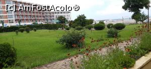 [P04] Vedere spre plajă din curtea interioară a hotelului » foto by Rofri
 - 
<span class="allrVoted glyphicon glyphicon-heart hidden" id="av1241294"></span>
<a class="m-l-10 hidden" id="sv1241294" onclick="voting_Foto_DelVot(,1241294,776)" role="button">șterge vot <span class="glyphicon glyphicon-remove"></span></a>
<a id="v91241294" class=" c-red"  onclick="voting_Foto_SetVot(1241294)" role="button"><span class="glyphicon glyphicon-heart-empty"></span> <b>LIKE</b> = Votează poza</a> <img class="hidden"  id="f1241294W9" src="/imagini/loader.gif" border="0" /><span class="AjErrMes hidden" id="e1241294ErM"></span>