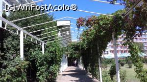 [P02] Aleea interioară care unește cele trei hoteluri: Orfeu, Comandor și Amiral » foto by Rofri
 - 
<span class="allrVoted glyphicon glyphicon-heart hidden" id="av1008291"></span>
<a class="m-l-10 hidden" id="sv1008291" onclick="voting_Foto_DelVot(,1008291,776)" role="button">șterge vot <span class="glyphicon glyphicon-remove"></span></a>
<a id="v91008291" class=" c-red"  onclick="voting_Foto_SetVot(1008291)" role="button"><span class="glyphicon glyphicon-heart-empty"></span> <b>LIKE</b> = Votează poza</a> <img class="hidden"  id="f1008291W9" src="/imagini/loader.gif" border="0" /><span class="AjErrMes hidden" id="e1008291ErM"></span>