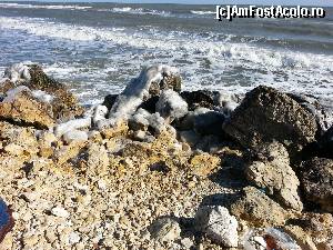 [P14] pe o plaja virgina situata la nord de constanta » foto by Dan&Ema
 - 
<span class="allrVoted glyphicon glyphicon-heart hidden" id="av597517"></span>
<a class="m-l-10 hidden" id="sv597517" onclick="voting_Foto_DelVot(,597517,779)" role="button">șterge vot <span class="glyphicon glyphicon-remove"></span></a>
<a id="v9597517" class=" c-red"  onclick="voting_Foto_SetVot(597517)" role="button"><span class="glyphicon glyphicon-heart-empty"></span> <b>LIKE</b> = Votează poza</a> <img class="hidden"  id="f597517W9" src="/imagini/loader.gif" border="0" /><span class="AjErrMes hidden" id="e597517ErM"></span>