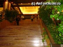 [P02] Scarile din hotel spre restaurant » foto by Fania
 - 
<span class="allrVoted glyphicon glyphicon-heart hidden" id="av11616"></span>
<a class="m-l-10 hidden" id="sv11616" onclick="voting_Foto_DelVot(,11616,78)" role="button">șterge vot <span class="glyphicon glyphicon-remove"></span></a>
<a id="v911616" class=" c-red"  onclick="voting_Foto_SetVot(11616)" role="button"><span class="glyphicon glyphicon-heart-empty"></span> <b>LIKE</b> = Votează poza</a> <img class="hidden"  id="f11616W9" src="/imagini/loader.gif" border="0" /><span class="AjErrMes hidden" id="e11616ErM"></span>
