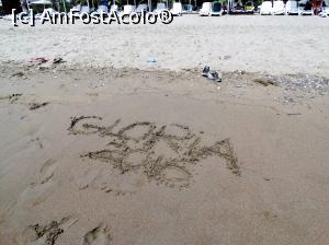 [P23] amfostacolo, 2009,2010,2016...  » foto by jimmybitza*
 - 
<span class="allrVoted glyphicon glyphicon-heart hidden" id="av840521"></span>
<a class="m-l-10 hidden" id="sv840521" onclick="voting_Foto_DelVot(,840521,78)" role="button">șterge vot <span class="glyphicon glyphicon-remove"></span></a>
<a id="v9840521" class=" c-red"  onclick="voting_Foto_SetVot(840521)" role="button"><span class="glyphicon glyphicon-heart-empty"></span> <b>LIKE</b> = Votează poza</a> <img class="hidden"  id="f840521W9" src="/imagini/loader.gif" border="0" /><span class="AjErrMes hidden" id="e840521ErM"></span>