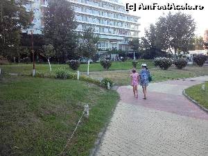[P14] aleea care duce spre plaja » foto by bullterier
 - 
<span class="allrVoted glyphicon glyphicon-heart hidden" id="av542480"></span>
<a class="m-l-10 hidden" id="sv542480" onclick="voting_Foto_DelVot(,542480,785)" role="button">șterge vot <span class="glyphicon glyphicon-remove"></span></a>
<a id="v9542480" class=" c-red"  onclick="voting_Foto_SetVot(542480)" role="button"><span class="glyphicon glyphicon-heart-empty"></span> <b>LIKE</b> = Votează poza</a> <img class="hidden"  id="f542480W9" src="/imagini/loader.gif" border="0" /><span class="AjErrMes hidden" id="e542480ErM"></span>