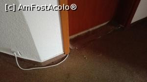 [P02] Pe hol, in fata camerei » foto by rokady
 - 
<span class="allrVoted glyphicon glyphicon-heart hidden" id="av903868"></span>
<a class="m-l-10 hidden" id="sv903868" onclick="voting_Foto_DelVot(,903868,785)" role="button">șterge vot <span class="glyphicon glyphicon-remove"></span></a>
<a id="v9903868" class=" c-red"  onclick="voting_Foto_SetVot(903868)" role="button"><span class="glyphicon glyphicon-heart-empty"></span> <b>LIKE</b> = Votează poza</a> <img class="hidden"  id="f903868W9" src="/imagini/loader.gif" border="0" /><span class="AjErrMes hidden" id="e903868ErM"></span>