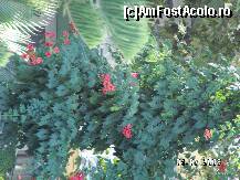 [P57]  -- <small>// FĂRĂ DESCRIERE</small> » foto by antalgbr
 - 
<span class="allrVoted glyphicon glyphicon-heart hidden" id="av109995"></span>
<a class="m-l-10 hidden" id="sv109995" onclick="voting_Foto_DelVot(,109995,8)" role="button">șterge vot <span class="glyphicon glyphicon-remove"></span></a>
<a id="v9109995" class=" c-red"  onclick="voting_Foto_SetVot(109995)" role="button"><span class="glyphicon glyphicon-heart-empty"></span> <b>LIKE</b> = Votează poza</a> <img class="hidden"  id="f109995W9" src="/imagini/loader.gif" border="0" /><span class="AjErrMes hidden" id="e109995ErM"></span>
