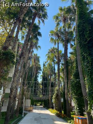 [P02]  -- <small>// FĂRĂ DESCRIERE</small> » foto by igi
 - 
<span class="allrVoted glyphicon glyphicon-heart hidden" id="av1241201"></span>
<a class="m-l-10 hidden" id="sv1241201" onclick="voting_Foto_DelVot(,1241201,8)" role="button">șterge vot <span class="glyphicon glyphicon-remove"></span></a>
<a id="v91241201" class=" c-red"  onclick="voting_Foto_SetVot(1241201)" role="button"><span class="glyphicon glyphicon-heart-empty"></span> <b>LIKE</b> = Votează poza</a> <img class="hidden"  id="f1241201W9" src="/imagini/loader.gif" border="0" /><span class="AjErrMes hidden" id="e1241201ErM"></span>