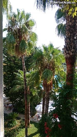 [P07] Vedere de la balcon » foto by curelea
 - 
<span class="allrVoted glyphicon glyphicon-heart hidden" id="av660018"></span>
<a class="m-l-10 hidden" id="sv660018" onclick="voting_Foto_DelVot(,660018,8)" role="button">șterge vot <span class="glyphicon glyphicon-remove"></span></a>
<a id="v9660018" class=" c-red"  onclick="voting_Foto_SetVot(660018)" role="button"><span class="glyphicon glyphicon-heart-empty"></span> <b>LIKE</b> = Votează poza</a> <img class="hidden"  id="f660018W9" src="/imagini/loader.gif" border="0" /><span class="AjErrMes hidden" id="e660018ErM"></span>