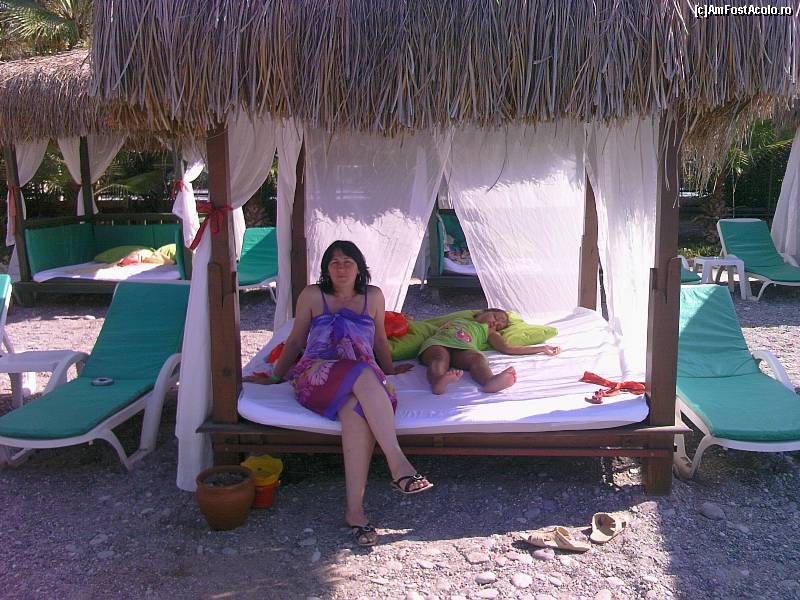 [P08] by mino august 2009 » foto by mino
 - 
<span class="allrVoted glyphicon glyphicon-heart hidden" id="av16487"></span>
<a class="m-l-10 hidden" id="sv16487" onclick="voting_Foto_DelVot(,16487,8)" role="button">șterge vot <span class="glyphicon glyphicon-remove"></span></a>
<a id="v916487" class=" c-red"  onclick="voting_Foto_SetVot(16487)" role="button"><span class="glyphicon glyphicon-heart-empty"></span> <b>LIKE</b> = Votează poza</a> <img class="hidden"  id="f16487W9" src="/imagini/loader.gif" border="0" /><span class="AjErrMes hidden" id="e16487ErM"></span>