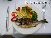 [P02] dorada sau cipura. » foto by essential1975
 - 
<span class="allrVoted glyphicon glyphicon-heart hidden" id="av86983"></span>
<a class="m-l-10 hidden" id="sv86983" onclick="voting_Foto_DelVot(,86983,8)" role="button">șterge vot <span class="glyphicon glyphicon-remove"></span></a>
<a id="v986983" class=" c-red"  onclick="voting_Foto_SetVot(86983)" role="button"><span class="glyphicon glyphicon-heart-empty"></span> <b>LIKE</b> = Votează poza</a> <img class="hidden"  id="f86983W9" src="/imagini/loader.gif" border="0" /><span class="AjErrMes hidden" id="e86983ErM"></span>