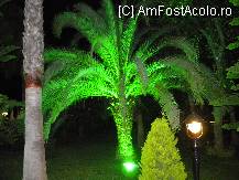 [P05] gradina frumos luminata noaptea » foto by essential1975
 - 
<span class="allrVoted glyphicon glyphicon-heart hidden" id="av86986"></span>
<a class="m-l-10 hidden" id="sv86986" onclick="voting_Foto_DelVot(,86986,8)" role="button">șterge vot <span class="glyphicon glyphicon-remove"></span></a>
<a id="v986986" class=" c-red"  onclick="voting_Foto_SetVot(86986)" role="button"><span class="glyphicon glyphicon-heart-empty"></span> <b>LIKE</b> = Votează poza</a> <img class="hidden"  id="f86986W9" src="/imagini/loader.gif" border="0" /><span class="AjErrMes hidden" id="e86986ErM"></span>