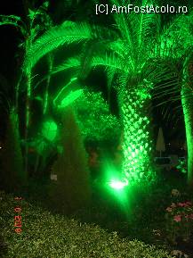 [P10]  -- <small>// FĂRĂ DESCRIERE</small> » foto by cristinaioana
 - 
<span class="allrVoted glyphicon glyphicon-heart hidden" id="av82821"></span>
<a class="m-l-10 hidden" id="sv82821" onclick="voting_Foto_DelVot(,82821,8)" role="button">șterge vot <span class="glyphicon glyphicon-remove"></span></a>
<a id="v982821" class=" c-red"  onclick="voting_Foto_SetVot(82821)" role="button"><span class="glyphicon glyphicon-heart-empty"></span> <b>LIKE</b> = Votează poza</a> <img class="hidden"  id="f82821W9" src="/imagini/loader.gif" border="0" /><span class="AjErrMes hidden" id="e82821ErM"></span>