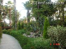 [P12]  -- <small>// FĂRĂ DESCRIERE</small> » foto by cristinaioana
 - 
<span class="allrVoted glyphicon glyphicon-heart hidden" id="av82823"></span>
<a class="m-l-10 hidden" id="sv82823" onclick="voting_Foto_DelVot(,82823,8)" role="button">șterge vot <span class="glyphicon glyphicon-remove"></span></a>
<a id="v982823" class=" c-red"  onclick="voting_Foto_SetVot(82823)" role="button"><span class="glyphicon glyphicon-heart-empty"></span> <b>LIKE</b> = Votează poza</a> <img class="hidden"  id="f82823W9" src="/imagini/loader.gif" border="0" /><span class="AjErrMes hidden" id="e82823ErM"></span>