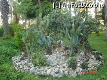 [P13]  -- <small>// FĂRĂ DESCRIERE</small> » foto by cristinaioana
 - 
<span class="allrVoted glyphicon glyphicon-heart hidden" id="av82824"></span>
<a class="m-l-10 hidden" id="sv82824" onclick="voting_Foto_DelVot(,82824,8)" role="button">șterge vot <span class="glyphicon glyphicon-remove"></span></a>
<a id="v982824" class=" c-red"  onclick="voting_Foto_SetVot(82824)" role="button"><span class="glyphicon glyphicon-heart-empty"></span> <b>LIKE</b> = Votează poza</a> <img class="hidden"  id="f82824W9" src="/imagini/loader.gif" border="0" /><span class="AjErrMes hidden" id="e82824ErM"></span>