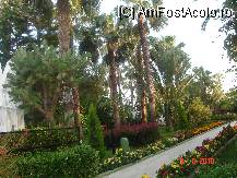 [P14]  -- <small>// FĂRĂ DESCRIERE</small> » foto by cristinaioana
 - 
<span class="allrVoted glyphicon glyphicon-heart hidden" id="av82825"></span>
<a class="m-l-10 hidden" id="sv82825" onclick="voting_Foto_DelVot(,82825,8)" role="button">șterge vot <span class="glyphicon glyphicon-remove"></span></a>
<a id="v982825" class=" c-red"  onclick="voting_Foto_SetVot(82825)" role="button"><span class="glyphicon glyphicon-heart-empty"></span> <b>LIKE</b> = Votează poza</a> <img class="hidden"  id="f82825W9" src="/imagini/loader.gif" border="0" /><span class="AjErrMes hidden" id="e82825ErM"></span>