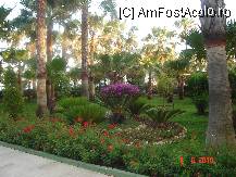 [P15]  -- <small>// FĂRĂ DESCRIERE</small> » foto by cristinaioana
 - 
<span class="allrVoted glyphicon glyphicon-heart hidden" id="av82826"></span>
<a class="m-l-10 hidden" id="sv82826" onclick="voting_Foto_DelVot(,82826,8)" role="button">șterge vot <span class="glyphicon glyphicon-remove"></span></a>
<a id="v982826" class=" c-red"  onclick="voting_Foto_SetVot(82826)" role="button"><span class="glyphicon glyphicon-heart-empty"></span> <b>LIKE</b> = Votează poza</a> <img class="hidden"  id="f82826W9" src="/imagini/loader.gif" border="0" /><span class="AjErrMes hidden" id="e82826ErM"></span>