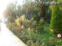 [P16]  -- <small>// FĂRĂ DESCRIERE</small> » foto by cristinaioana
 - 
<span class="allrVoted glyphicon glyphicon-heart hidden" id="av82827"></span>
<a class="m-l-10 hidden" id="sv82827" onclick="voting_Foto_DelVot(,82827,8)" role="button">șterge vot <span class="glyphicon glyphicon-remove"></span></a>
<a id="v982827" class=" c-red"  onclick="voting_Foto_SetVot(82827)" role="button"><span class="glyphicon glyphicon-heart-empty"></span> <b>LIKE</b> = Votează poza</a> <img class="hidden"  id="f82827W9" src="/imagini/loader.gif" border="0" /><span class="AjErrMes hidden" id="e82827ErM"></span>