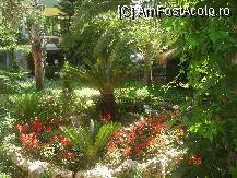 [P21]  -- <small>// FĂRĂ DESCRIERE</small> » foto by cristinaioana
 - 
<span class="allrVoted glyphicon glyphicon-heart hidden" id="av82832"></span>
<a class="m-l-10 hidden" id="sv82832" onclick="voting_Foto_DelVot(,82832,8)" role="button">șterge vot <span class="glyphicon glyphicon-remove"></span></a>
<a id="v982832" class=" c-red"  onclick="voting_Foto_SetVot(82832)" role="button"><span class="glyphicon glyphicon-heart-empty"></span> <b>LIKE</b> = Votează poza</a> <img class="hidden"  id="f82832W9" src="/imagini/loader.gif" border="0" /><span class="AjErrMes hidden" id="e82832ErM"></span>