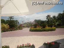 [P22]  -- <small>// FĂRĂ DESCRIERE</small> » foto by cristinaioana
 - 
<span class="allrVoted glyphicon glyphicon-heart hidden" id="av82833"></span>
<a class="m-l-10 hidden" id="sv82833" onclick="voting_Foto_DelVot(,82833,8)" role="button">șterge vot <span class="glyphicon glyphicon-remove"></span></a>
<a id="v982833" class=" c-red"  onclick="voting_Foto_SetVot(82833)" role="button"><span class="glyphicon glyphicon-heart-empty"></span> <b>LIKE</b> = Votează poza</a> <img class="hidden"  id="f82833W9" src="/imagini/loader.gif" border="0" /><span class="AjErrMes hidden" id="e82833ErM"></span>