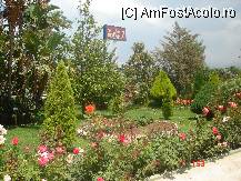 [P23]  -- <small>// FĂRĂ DESCRIERE</small> » foto by cristinaioana
 - 
<span class="allrVoted glyphicon glyphicon-heart hidden" id="av82834"></span>
<a class="m-l-10 hidden" id="sv82834" onclick="voting_Foto_DelVot(,82834,8)" role="button">șterge vot <span class="glyphicon glyphicon-remove"></span></a>
<a id="v982834" class=" c-red"  onclick="voting_Foto_SetVot(82834)" role="button"><span class="glyphicon glyphicon-heart-empty"></span> <b>LIKE</b> = Votează poza</a> <img class="hidden"  id="f82834W9" src="/imagini/loader.gif" border="0" /><span class="AjErrMes hidden" id="e82834ErM"></span>