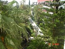 [P04] Vedere di Mimoza » foto by cristinaioana
 - 
<span class="allrVoted glyphicon glyphicon-heart hidden" id="av82815"></span>
<a class="m-l-10 hidden" id="sv82815" onclick="voting_Foto_DelVot(,82815,8)" role="button">șterge vot <span class="glyphicon glyphicon-remove"></span></a>
<a id="v982815" class=" c-red"  onclick="voting_Foto_SetVot(82815)" role="button"><span class="glyphicon glyphicon-heart-empty"></span> <b>LIKE</b> = Votează poza</a> <img class="hidden"  id="f82815W9" src="/imagini/loader.gif" border="0" /><span class="AjErrMes hidden" id="e82815ErM"></span>