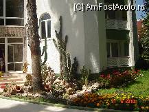 [P05] intrarea in Orkide » foto by cristinaioana
 - 
<span class="allrVoted glyphicon glyphicon-heart hidden" id="av82816"></span>
<a class="m-l-10 hidden" id="sv82816" onclick="voting_Foto_DelVot(,82816,8)" role="button">șterge vot <span class="glyphicon glyphicon-remove"></span></a>
<a id="v982816" class=" c-red"  onclick="voting_Foto_SetVot(82816)" role="button"><span class="glyphicon glyphicon-heart-empty"></span> <b>LIKE</b> = Votează poza</a> <img class="hidden"  id="f82816W9" src="/imagini/loader.gif" border="0" /><span class="AjErrMes hidden" id="e82816ErM"></span>