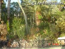 [P06]  -- <small>// FĂRĂ DESCRIERE</small> » foto by cristinaioana
 - 
<span class="allrVoted glyphicon glyphicon-heart hidden" id="av82817"></span>
<a class="m-l-10 hidden" id="sv82817" onclick="voting_Foto_DelVot(,82817,8)" role="button">șterge vot <span class="glyphicon glyphicon-remove"></span></a>
<a id="v982817" class=" c-red"  onclick="voting_Foto_SetVot(82817)" role="button"><span class="glyphicon glyphicon-heart-empty"></span> <b>LIKE</b> = Votează poza</a> <img class="hidden"  id="f82817W9" src="/imagini/loader.gif" border="0" /><span class="AjErrMes hidden" id="e82817ErM"></span>