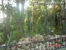 [P07]  -- <small>// FĂRĂ DESCRIERE</small> » foto by cristinaioana
 - 
<span class="allrVoted glyphicon glyphicon-heart hidden" id="av82818"></span>
<a class="m-l-10 hidden" id="sv82818" onclick="voting_Foto_DelVot(,82818,8)" role="button">șterge vot <span class="glyphicon glyphicon-remove"></span></a>
<a id="v982818" class=" c-red"  onclick="voting_Foto_SetVot(82818)" role="button"><span class="glyphicon glyphicon-heart-empty"></span> <b>LIKE</b> = Votează poza</a> <img class="hidden"  id="f82818W9" src="/imagini/loader.gif" border="0" /><span class="AjErrMes hidden" id="e82818ErM"></span>