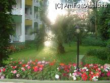 [P08]  -- <small>// FĂRĂ DESCRIERE</small> » foto by cristinaioana
 - 
<span class="allrVoted glyphicon glyphicon-heart hidden" id="av82819"></span>
<a class="m-l-10 hidden" id="sv82819" onclick="voting_Foto_DelVot(,82819,8)" role="button">șterge vot <span class="glyphicon glyphicon-remove"></span></a>
<a id="v982819" class=" c-red"  onclick="voting_Foto_SetVot(82819)" role="button"><span class="glyphicon glyphicon-heart-empty"></span> <b>LIKE</b> = Votează poza</a> <img class="hidden"  id="f82819W9" src="/imagini/loader.gif" border="0" /><span class="AjErrMes hidden" id="e82819ErM"></span>