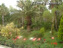 [P09]  -- <small>// FĂRĂ DESCRIERE</small> » foto by cristinaioana
 - 
<span class="allrVoted glyphicon glyphicon-heart hidden" id="av82820"></span>
<a class="m-l-10 hidden" id="sv82820" onclick="voting_Foto_DelVot(,82820,8)" role="button">șterge vot <span class="glyphicon glyphicon-remove"></span></a>
<a id="v982820" class=" c-red"  onclick="voting_Foto_SetVot(82820)" role="button"><span class="glyphicon glyphicon-heart-empty"></span> <b>LIKE</b> = Votează poza</a> <img class="hidden"  id="f82820W9" src="/imagini/loader.gif" border="0" /><span class="AjErrMes hidden" id="e82820ErM"></span>