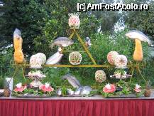 [P03]  -- <small>// FĂRĂ DESCRIERE</small> » foto by Anduise
 - 
<span class="allrVoted glyphicon glyphicon-heart hidden" id="av62670"></span>
<a class="m-l-10 hidden" id="sv62670" onclick="voting_Foto_DelVot(,62670,8)" role="button">șterge vot <span class="glyphicon glyphicon-remove"></span></a>
<a id="v962670" class=" c-red"  onclick="voting_Foto_SetVot(62670)" role="button"><span class="glyphicon glyphicon-heart-empty"></span> <b>LIKE</b> = Votează poza</a> <img class="hidden"  id="f62670W9" src="/imagini/loader.gif" border="0" /><span class="AjErrMes hidden" id="e62670ErM"></span>